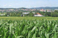 Feld mit Siedlung im Hintergrund