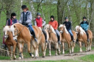 Mehrere Pferde mit Reiter auf einem Feldweg