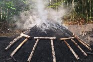 Kohenmeiler schwelt