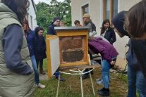 Personen stehen um Bienenstock